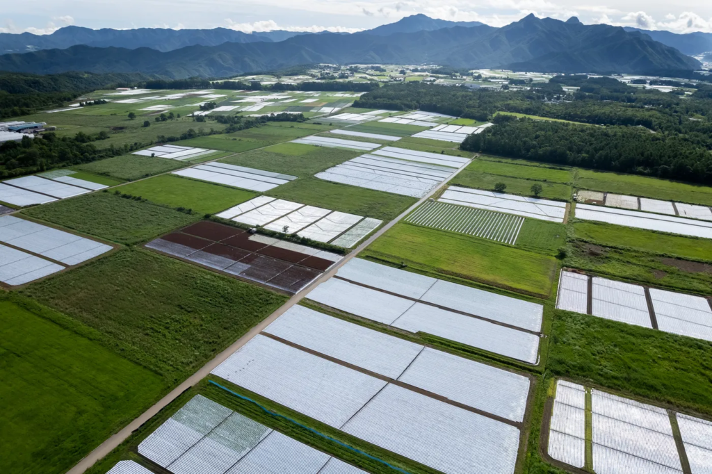 田舎の田園風景