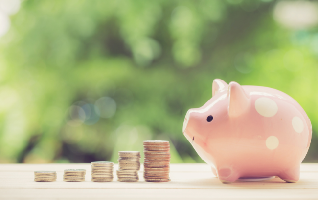 結婚相談所でペットを飼っている人の成婚が難しくなるのはなぜ?